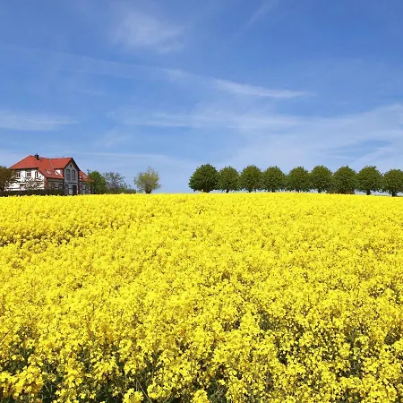 Gollwitzer Park - Insel Poel-10 By Interhome Appartamento