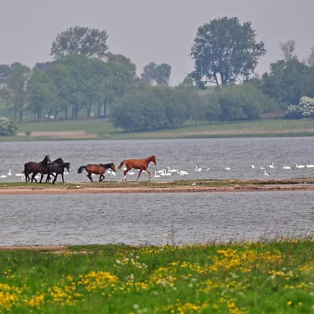 Gollwitzer Park - Insel Poel-10 By Interhome